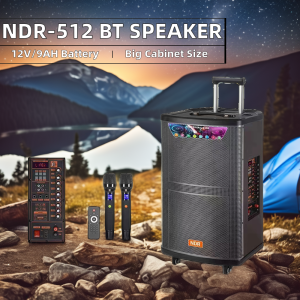 Wireless Karaoke BT Speaker